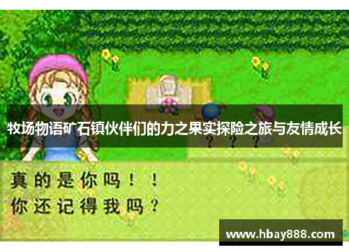 牧场物语矿石镇伙伴们的力之果实探险之旅与友情成长