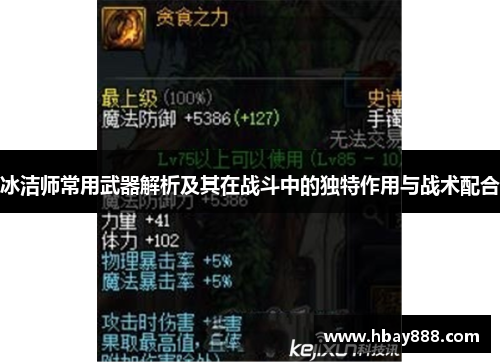 冰洁师常用武器解析及其在战斗中的独特作用与战术配合