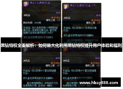 黑钻特权全面解析：如何最大化利用黑钻特权提升用户体验和福利